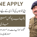 Complete guide to Punjab Police Constable Jobs 2025.